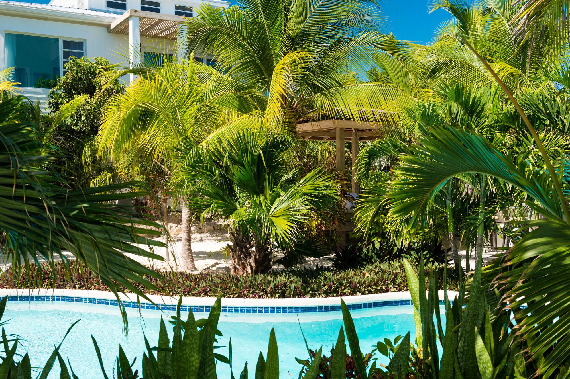 The Oasis At Grace Bay Hotel Kültér fotó